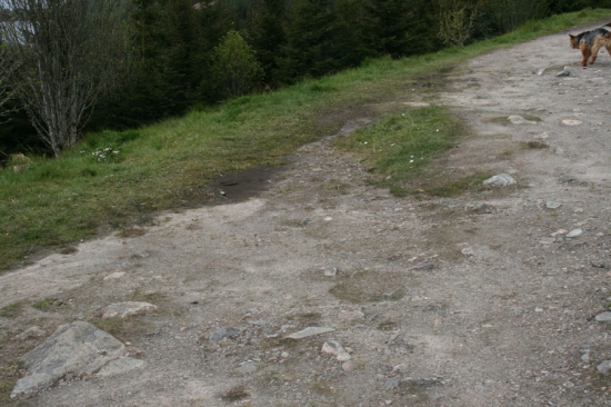 IMG_6641.jpg